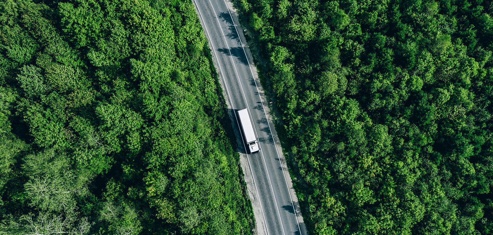 Lastwagen auf einer Straße durch ein Waldgebiet